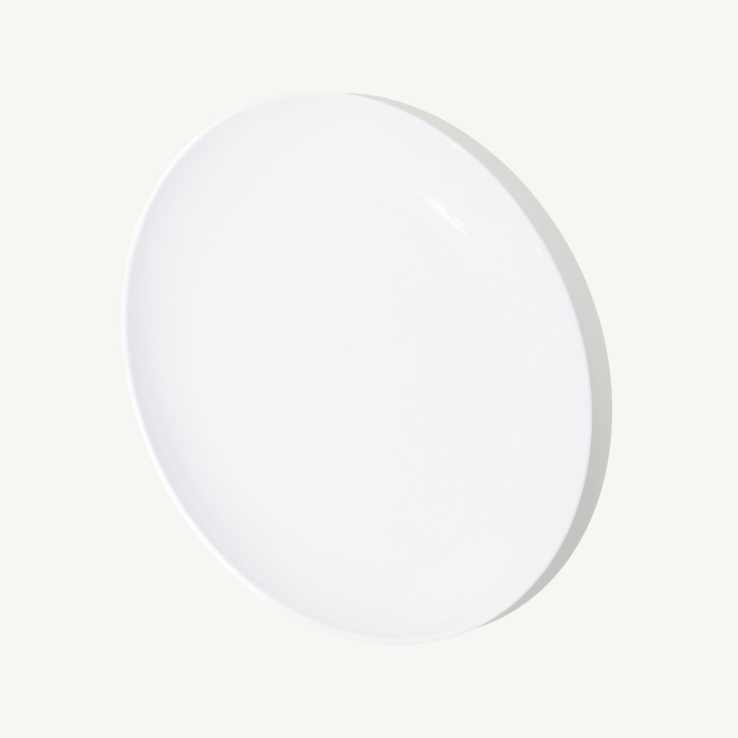 Turkey Platter - Image 3